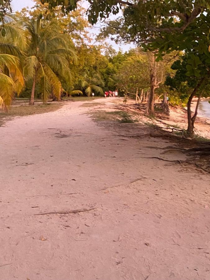 סנט-לוס La Maison De La Plage מראה חיצוני תמונה